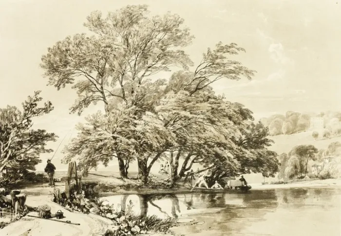 Framed Print : Common Willow, from The Park and the Forest, 1841. Creator: James Duffield Harding Framed Print : Common Willow, from The Park and the Forest, 1841. Creator: James Duffield Harding