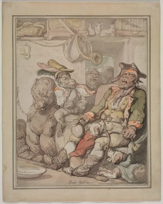 Framed Print : Comparative Anatomy Study, c. 1810-1820. Creator: Thomas Rowlandson (British, 1756-1827) Framed Print : Comparative Anatomy Study, c. 1810-1820. Creator: Thomas Rowlandson (British, 1756-1827)