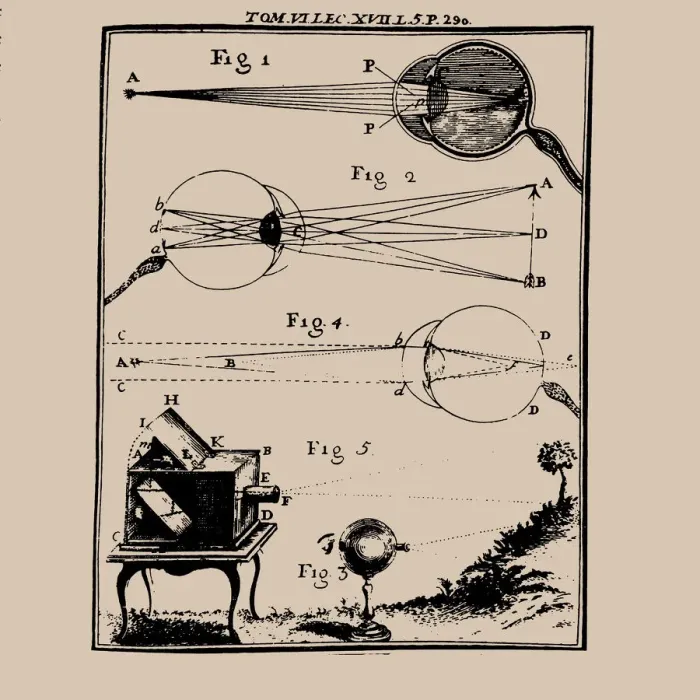 Framed Print : Comparative depiction of the human eye and the camera obscura, 18th century. Creator: Anonymous Framed Print : Comparative depiction of the human eye and the camera obscura, 18th century. Creator: Anonymous