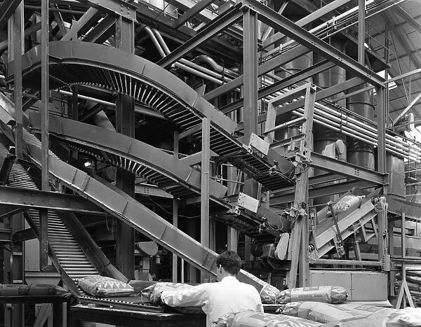 Complex conveyor delivery, Spillers Animal Foods, Gainsborough, Lincolnshire, 1962