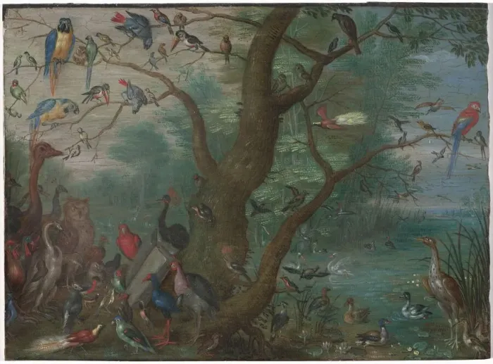 Framed Print : Concert of Birds, 1660 / 1670. Creator: Anon Framed Print : Concert of Birds, 1660 / 1670. Creator: Anon