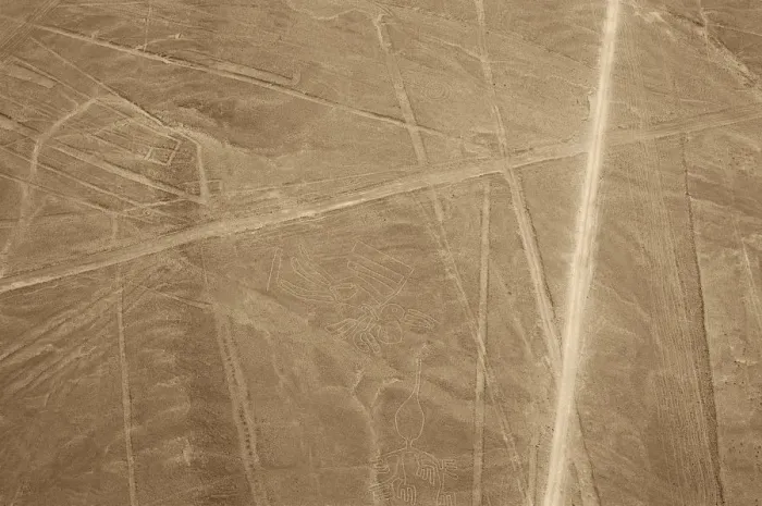 Framed Print : The Condor, Nazca Lines, Ica, Peru, 2015. Creator: Luis Rosendo