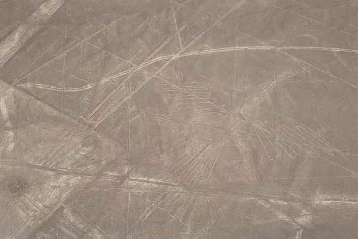 Framed Print : The Condor, Nazca Lines, Ica, Peru, 2015. Creator: Luis Rosendo Framed Print : The Condor, Nazca Lines, Ica, Peru, 2015. Creator: Luis Rosendo