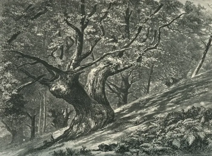 Framed Print : At Coney Hill, Hayes Common, Kent, c1870 Framed Print : At Coney Hill, Hayes Common, Kent, c1870