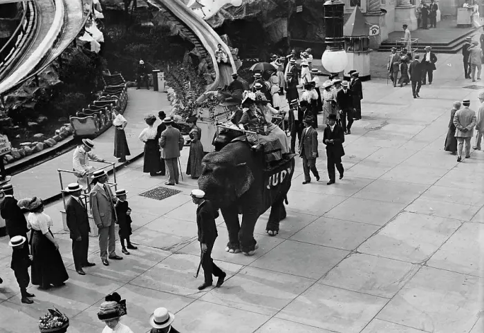 Framed Print : Coney Island, Riding Elephant, 1911. Creator: Bain News Service Framed Print : Coney Island, Riding Elephant, 1911. Creator: Bain News Service