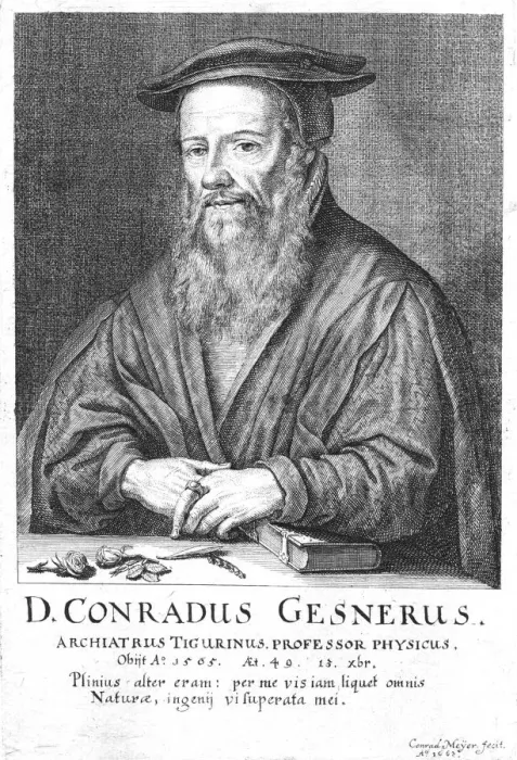 Framed Print : Conrad Gesner, 16th century Swiss physician and naturalist, 1662. Artist: Conrad Meyer Framed Print : Conrad Gesner, 16th century Swiss physician and naturalist, 1662. Artist: Conrad Meyer