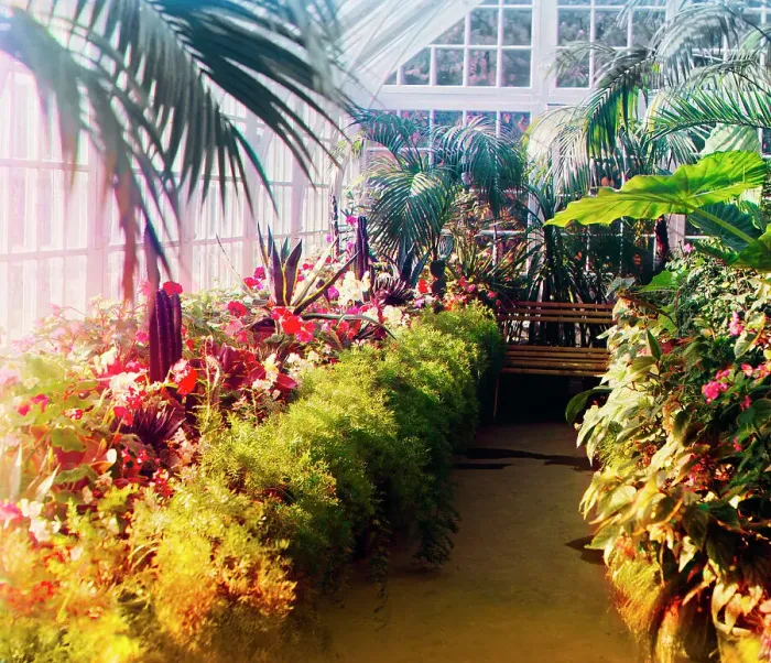 Framed Print : In a conservatory, between 1905 and 1915. Creator: Sergey Mikhaylovich Prokudin-Gorsky Framed Print : In a conservatory, between 1905 and 1915. Creator: Sergey Mikhaylovich Prokudin-Gorsky