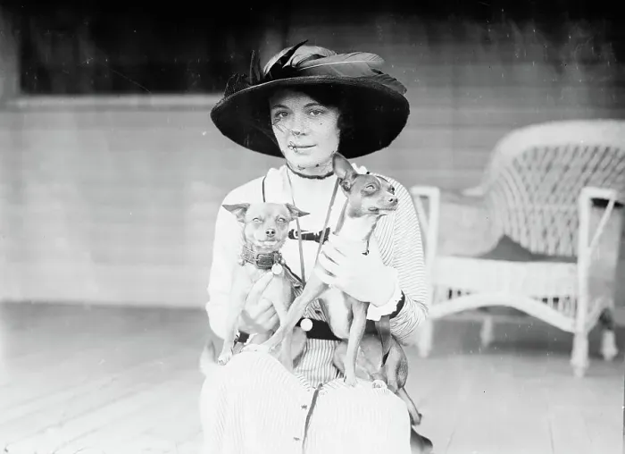 Framed Print : Constance McCall, between c1910 and c1915. Creator: Bain News Service Framed Print : Constance McCall, between c1910 and c1915. Creator: Bain News Service