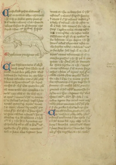 Framed Print : Constellation; Astronomical and Medical Miscellany, late 14th century, shortly after 1386. Creator: Unknown