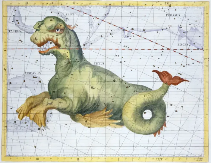 Framed Print : Constellation of Cetus (the Whale), 1729 Framed Print : Constellation of Cetus (the Whale), 1729