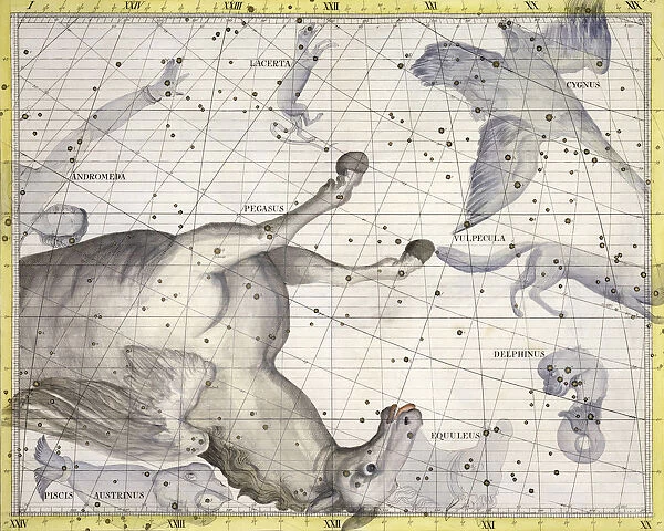 Constellation of Pegasus, 1729