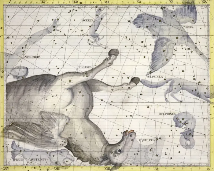 Framed Print : Constellation of Pegasus, 1729 Framed Print : Constellation of Pegasus, 1729