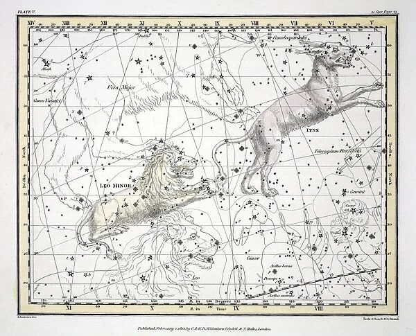 The Constellations (Plate V) Lynx, Leo Minor, 1822