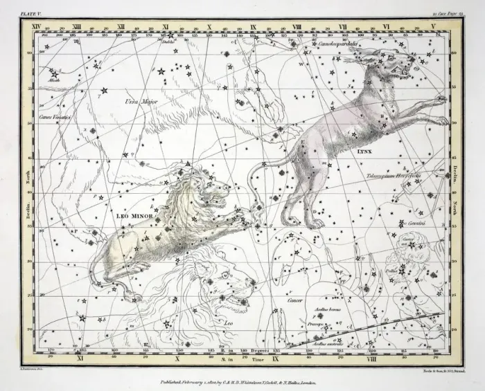 Framed Print : The Constellations (Plate V) Lynx, Leo Minor, 1822 Framed Print : The Constellations (Plate V) Lynx, Leo Minor, 1822