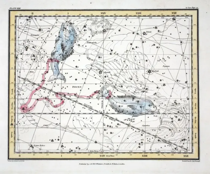 Framed Print : The Constellations (Plate XXII) Pisces, 1822 Framed Print : The Constellations (Plate XXII) Pisces, 1822