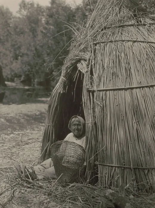 Framed Print : Construction of a tule shelter-lake Pomo, 1924. Creator: Edward Sheriff Curtis Framed Print : Construction of a tule shelter-lake Pomo, 1924. Creator: Edward Sheriff Curtis