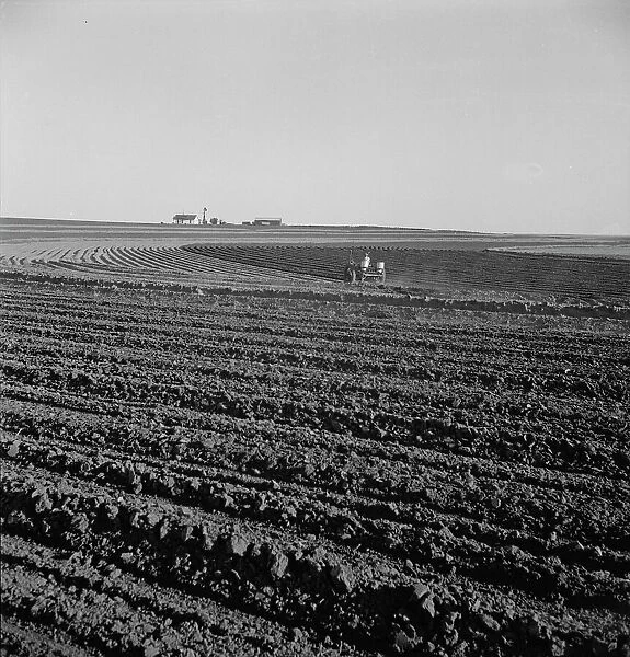 Contour plowing on mechanized farms, Childress County, Texas Panhandle, Texas, 1938. Creator: Dorothea Lange
