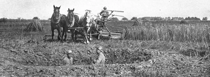 Framed Print : Contrastes sur le front de la Somme; La moisson derriere le champ de bataille, 1916 Creator: Unknown Framed Print : Contrastes sur le front de la Somme; La moisson derriere le champ de bataille, 1916 Creator: Unknown