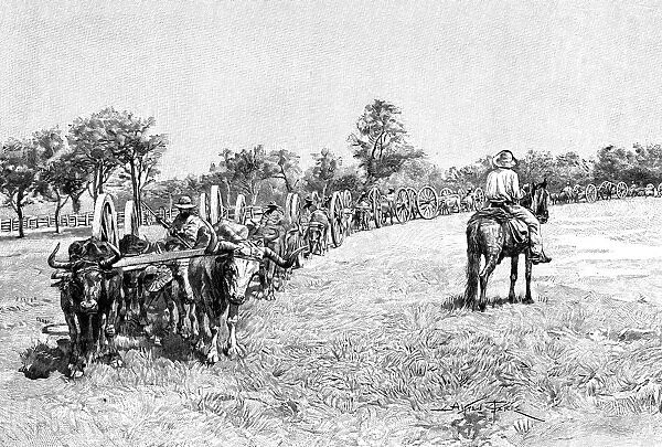 A convoy of wagons, South America, 1895
