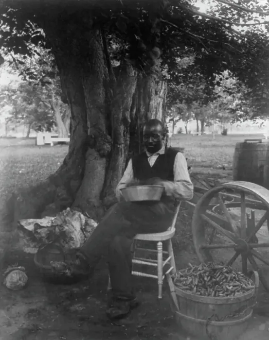 Framed Print : The cook at Marshall Hall, seated outdoors, shelling peas?, c1890. Creator: Frances Benjamin Johnston Framed Print : The cook at Marshall Hall, seated outdoors, shelling peas?, c1890. Creator: Frances Benjamin Johnston