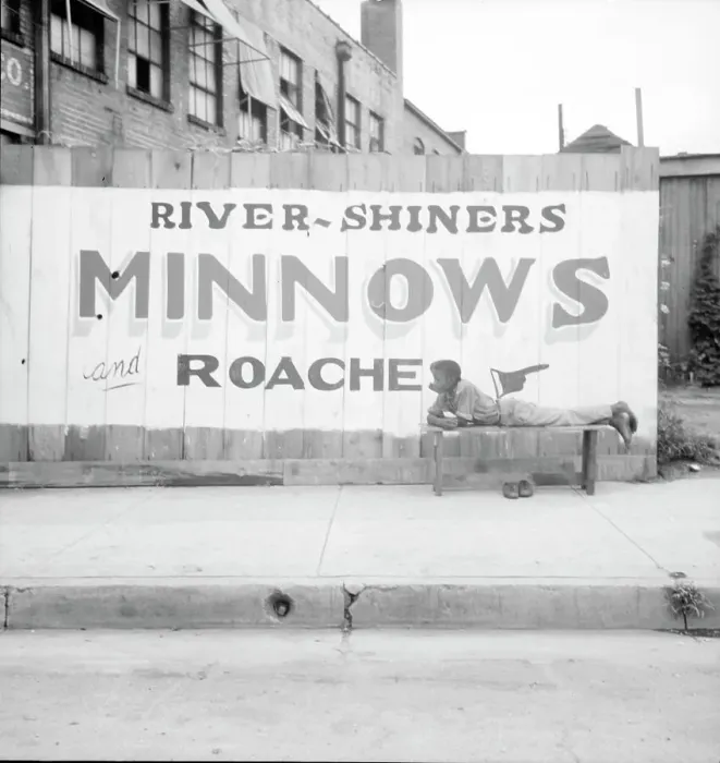 Framed Print : Coon dawgling, Memphis, Tennessee, 1936. Creator: Dorothea Lange Framed Print : Coon dawgling, Memphis, Tennessee, 1936. Creator: Dorothea Lange