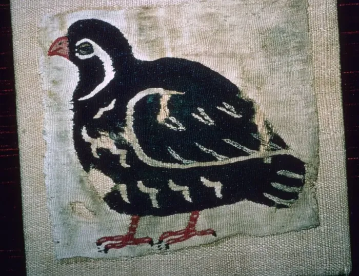 Framed Print : Coptic Egyptian textile showing a quail, 3rd or 4th century AD Framed Print : Coptic Egyptian textile showing a quail, 3rd or 4th century AD