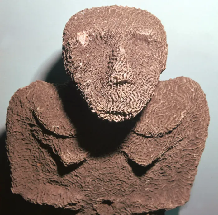 Framed Print : Coral figure from the Torres Straits Islands Framed Print : Coral figure from the Torres Straits Islands