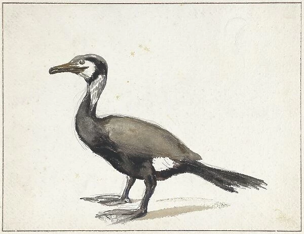 Cormorant, 1832-1897. Creator: Willem Roelofs