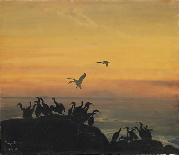 Cormorants by sunset