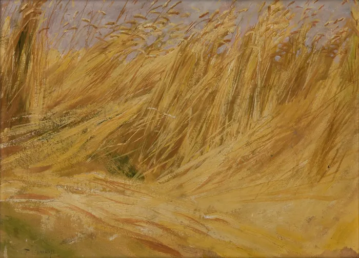 Framed Print : Corn Field (Study), 1901. Creator: Wlodzimierz Tetmajer