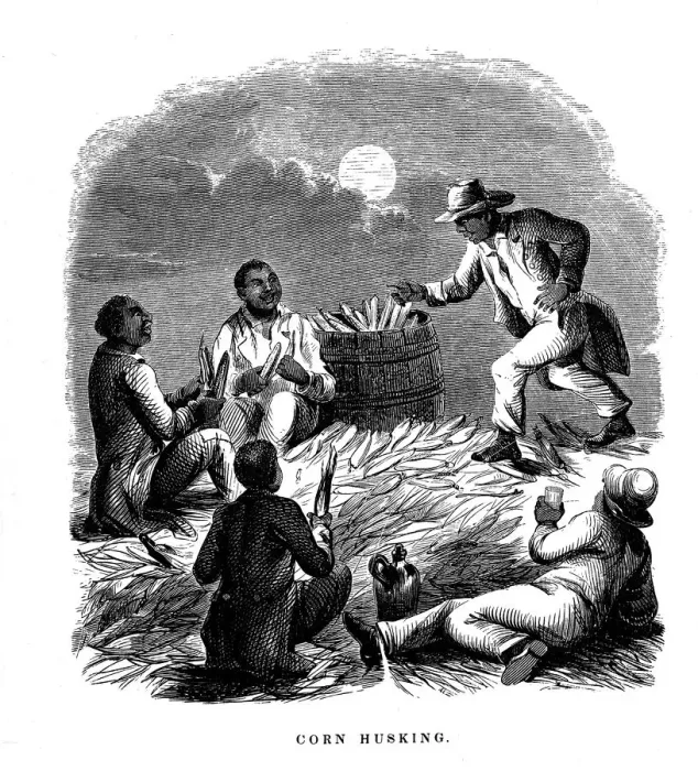 Framed Print : Corn Husking; Negro labourers husking maize, southern USA, c1850 Framed Print : Corn Husking; Negro labourers husking maize, southern USA, c1850