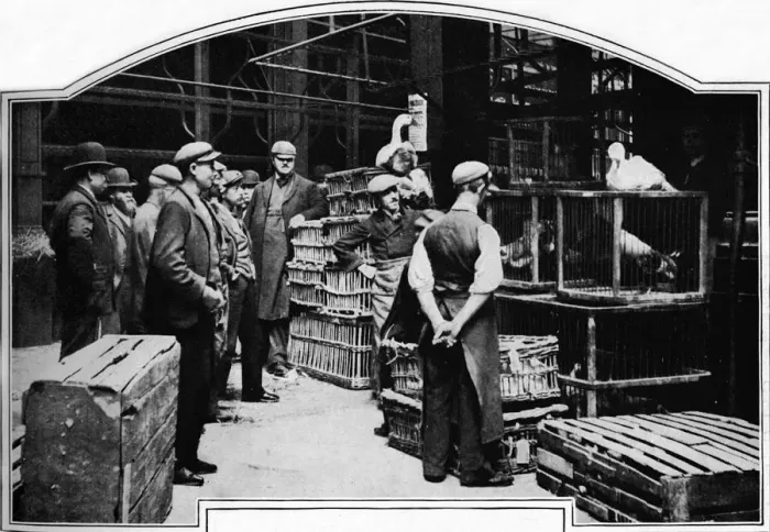 Framed Print : A corner of Leadenhall Market, London, c1901 (1901) Framed Print : A corner of Leadenhall Market, London, c1901 (1901)