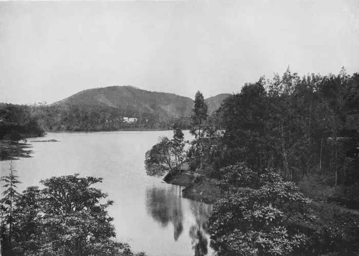 Framed Print : A Corner of Nuwara Eliya Lake, c1890, (1910). Artist: Alfred William Amandus Plate Framed Print : A Corner of Nuwara Eliya Lake, c1890, (1910). Artist: Alfred William Amandus Plate