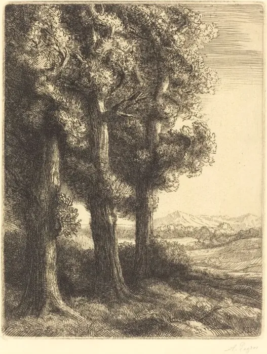 Framed Print : Corner of a Wood (Coin d un bois). Creator: Alphonse Legros Framed Print : Corner of a Wood (Coin d un bois). Creator: Alphonse Legros