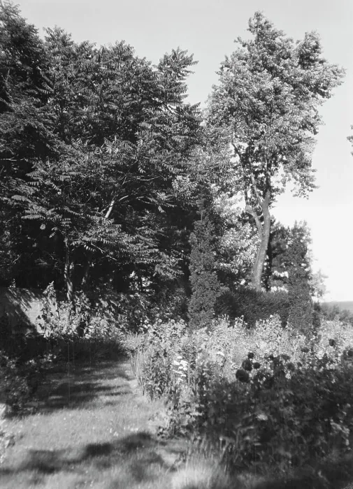 Framed Print : Cosgrave grounds, not before 1917. Creator: Arnold Genthe Framed Print : Cosgrave grounds, not before 1917. Creator: Arnold Genthe
