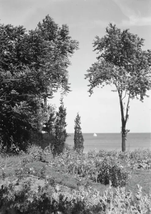 Framed Print : Cosgrave grounds, not before 1917. Creator: Arnold Genthe Framed Print : Cosgrave grounds, not before 1917. Creator: Arnold Genthe