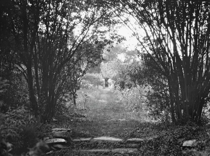 Framed Print : Cosgrave grounds, not before 1917. Creator: Arnold Genthe Framed Print : Cosgrave grounds, not before 1917. Creator: Arnold Genthe