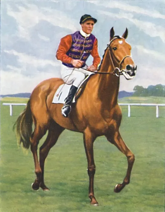 Framed Print : Cosmopolitan, Jockey: J. Crouch, 1939 Framed Print : Cosmopolitan, Jockey: J. Crouch, 1939