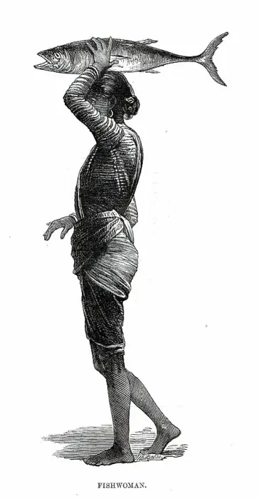 Framed Print : Costumes of Western India, fishwoman, 1876. Creator: Unknown Framed Print : Costumes of Western India, fishwoman, 1876. Creator: Unknown
