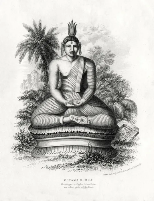 Framed Print : Cotoma Budha, worshipped in Ceylon, Siam, China, 19th century. Artist: Andrew Thom Framed Print : Cotoma Budha, worshipped in Ceylon, Siam, China, 19th century. Artist: Andrew Thom