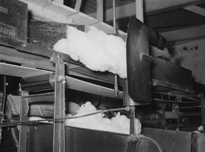 Framed Print : Cotton from the bale is transported by belt to... making cotton bats, Laurel, Mississippi, 1939. Creator: Dorothea Lange Framed Print : Cotton from the bale is transported by belt to... making cotton bats, Laurel, Mississippi, 1939. Creator: Dorothea Lange