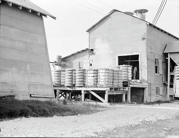 Cotton bales on gin platform, Robstown, Texas, 1936. Creator: Dorothea Lange
