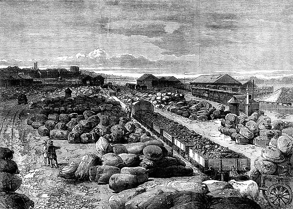 Cotton bales lying at the Bombay terminus of the Great Indian Peninsular Railway, 1862. Creator: Unknown