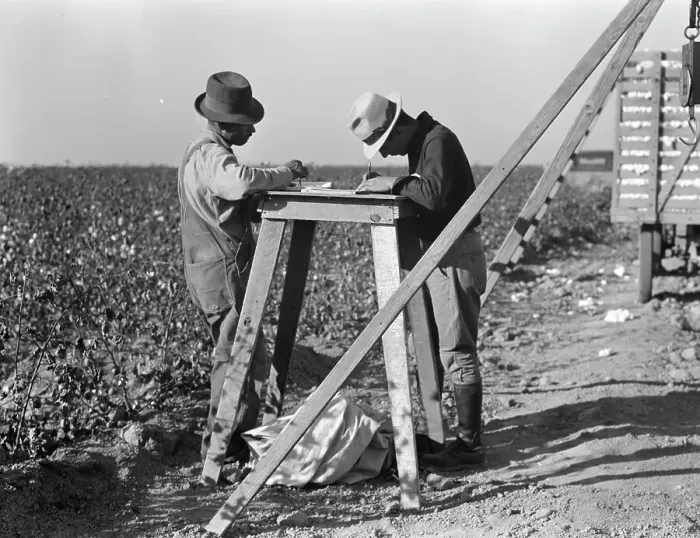 Framed Print : Cotton checkers, San Joaquin Valley, California, 1936. Creator: Dorothea Lange Framed Print : Cotton checkers, San Joaquin Valley, California, 1936. Creator: Dorothea Lange