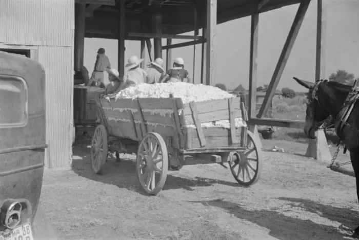 Framed Print : At the cotton gin, Cotton gin and wagons, Hale County, Alabama, 1936. Creator: Walker Evans Framed Print : At the cotton gin, Cotton gin and wagons, Hale County, Alabama, 1936. Creator: Walker Evans