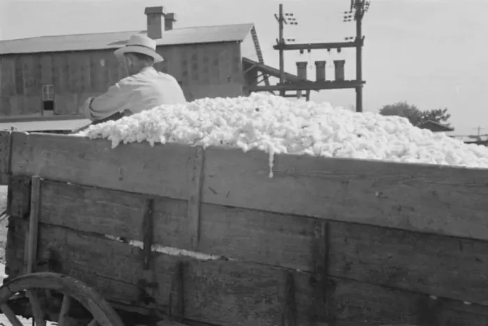 Framed Print : At the cotton gin, Cotton gin and wagons, Hale County, Alabama, 1936. Creator: Walker Evans Framed Print : At the cotton gin, Cotton gin and wagons, Hale County, Alabama, 1936. Creator: Walker Evans