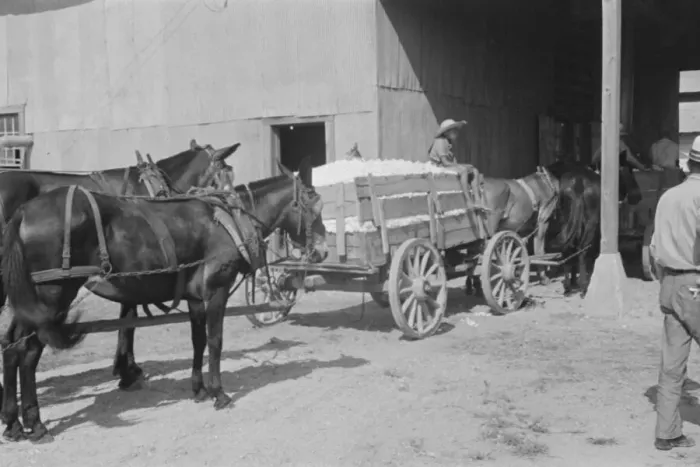 Framed Print : At the cotton gin, Cotton gin and wagons, Hale County, Alabama, 1936. Creator: Walker Evans Framed Print : At the cotton gin, Cotton gin and wagons, Hale County, Alabama, 1936. Creator: Walker Evans