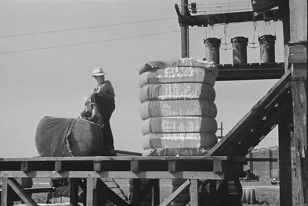 Cotton gin, Hale County, Alabama, 1936. Creator: Walker Evans