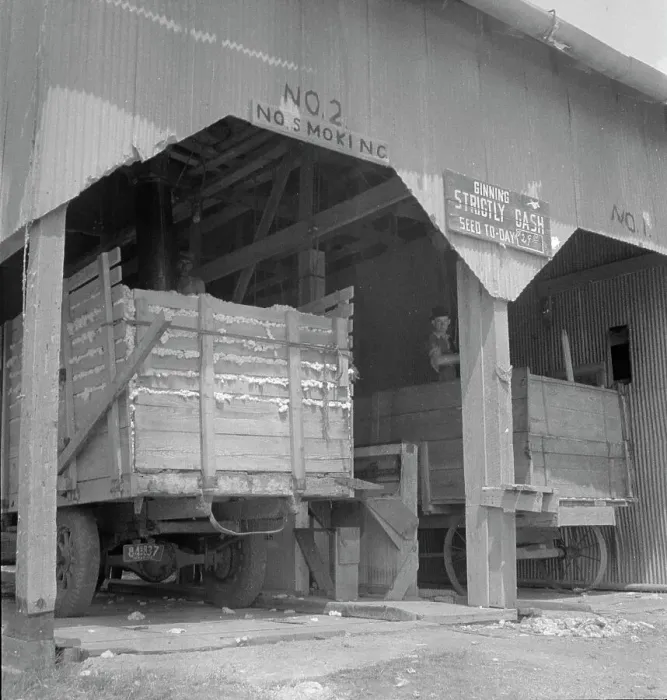Framed Print : The cotton gin near Robstown, Texas, 1936. Creator: Dorothea Lange Framed Print : The cotton gin near Robstown, Texas, 1936. Creator: Dorothea Lange