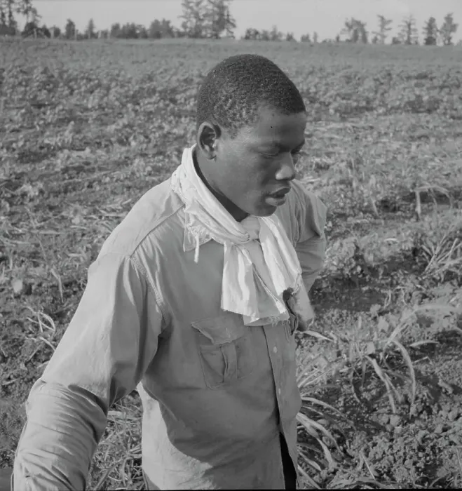 Framed Print : Cotton hoer, Coahoma County, Mississippi, 1937. Creator: Dorothea Lange Framed Print : Cotton hoer, Coahoma County, Mississippi, 1937. Creator: Dorothea Lange